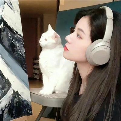 靠近维梅尔