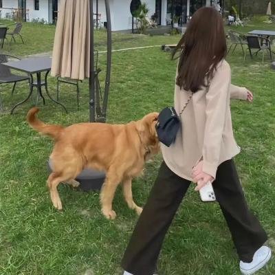 阿衰第七季